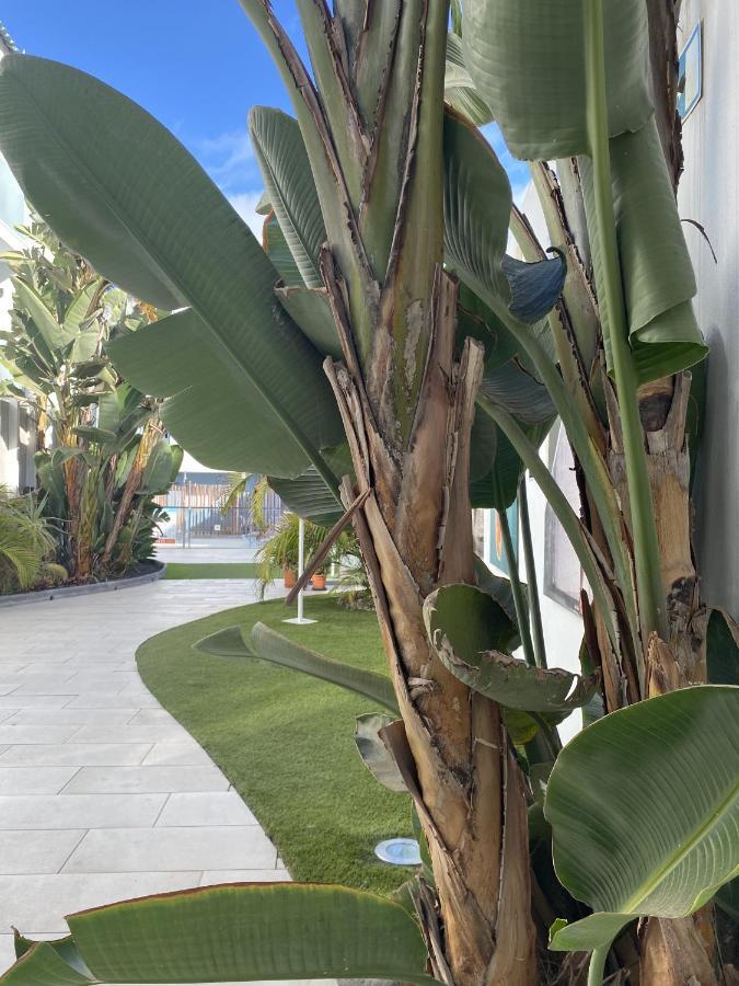 Sun And Surf Stay Corralejo Zewnętrze zdjęcie