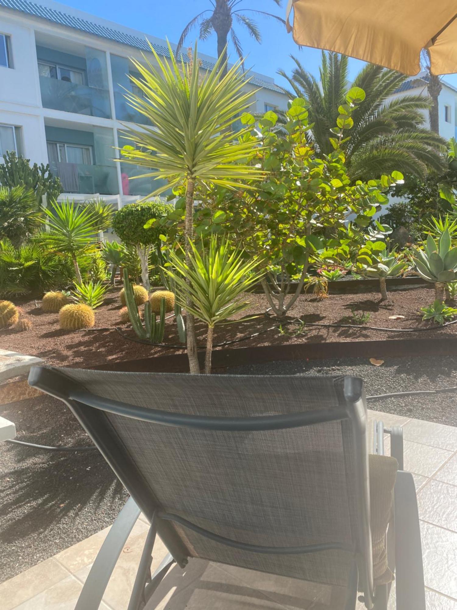 Sun And Surf Stay Corralejo Zewnętrze zdjęcie